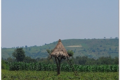 20090914 Bahar Dar-Tis Yssat (35)