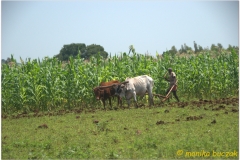 20090914 Bahar Dar-Tis Yssat (45)