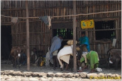 20090914 Bahar Dar-Tis Yssat (59)b