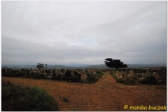 20090924 Harar (112)