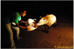 20090924 Harar (152)