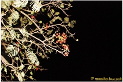 20091001 Jinka-Key Afar-Arba Minch (151)