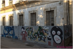 20111114 Kuba Hawana (153)