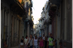 20111114 Kuba Hawana (156)