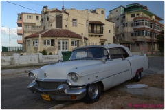 20111115 Kuba Hawana (100)