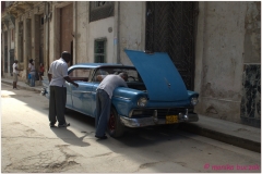 20111115 Kuba Hawana (15)