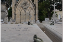 20111115 Kuba Hawana (60)
