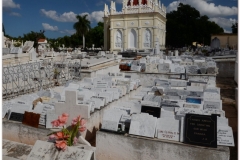 20111115 Kuba Hawana (66)