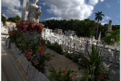 20111115 Kuba Hawana (68)