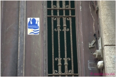 20111116 Kuba Hawana (3)