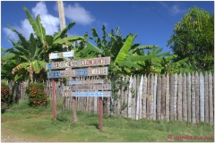 20111121 Baracoa-Maguana (12)