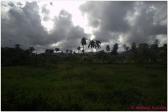 20111122 Baracoa (41)