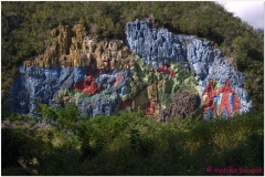 20111201 Kuba Vinales (22)