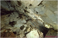 20111201 Kuba Vinales (29)