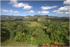 20111201 Kuba Vinales (3)