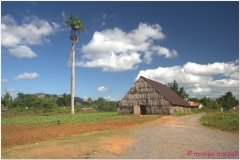 20111201 Kuba Vinales (6)