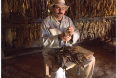 20111201 Kuba Vinales (9)