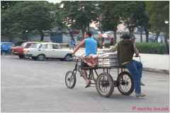 20111202 Kuba Hawana (71)