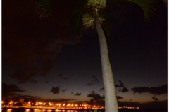 20111202 Kuba Hawana (99)
