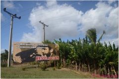 20111126 Kuba Cienfuegos-Zapata (24)