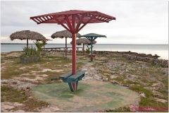 20111129 Kuba Playa Larga (15)