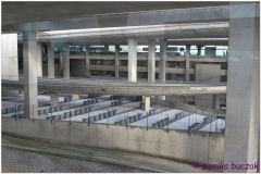 20120821 Paris de Gaulle AP (2)