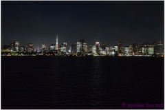 20120823 Japonia Tokio (129)