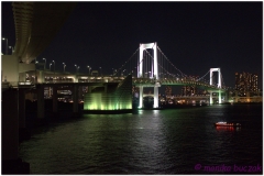 20120823 Japonia Tokio (134)