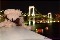 20120823 Japonia Tokio (142)