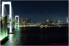 20120823 Japonia Tokio (148)