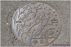 20120823 Japonia Tokio (21)