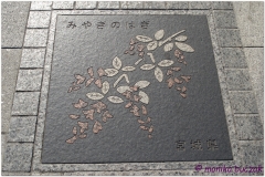 20120823 Japonia Tokio (69)