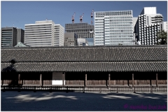 20120823 Japonia Tokio (80)