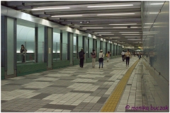 20120824 Japonia Tokio (39)