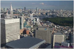 20120824 Japonia Tokio (52)