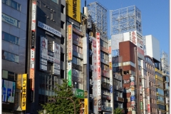 20120824 Japonia Tokio (61)