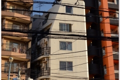 20120824 Japonia Tokio (72)