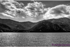 20120825 Japonia Tokio-Hakone (123)bw