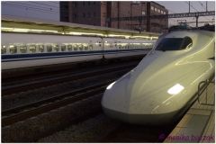 20120825 Japonia Tokio-Hakone (131)