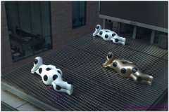 20120825 Japonia Tokio-Hakone (16)