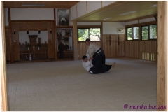 20120826 Japonia Iwama (35)