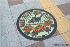 20120826 Japonia Iwama (83)