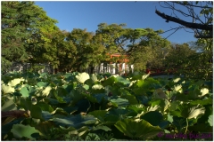 20120827 Kamakura (116)