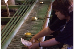 20120827 Kamakura (29)