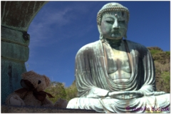 20120827 Kamakura (50)