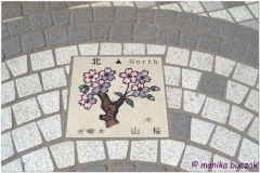 20120827 Kamakura (67)