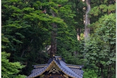 20120828 Japonia Nikko (131)