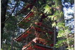 20120828 Japonia Nikko (134)