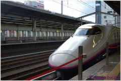 20120828 Japonia Nikko (157)