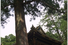 20120828 Japonia Nikko (42)